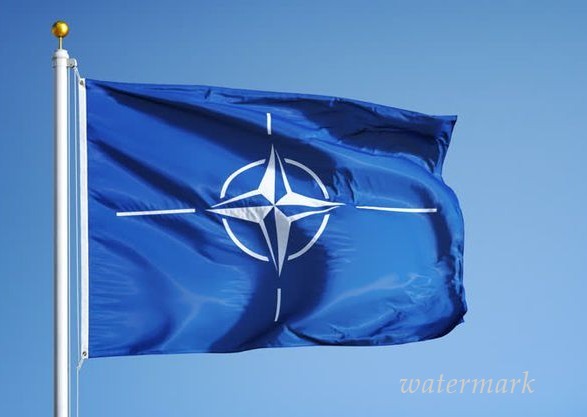 В ПА НАТО заявили, что Украина обязана стать полноправным членом евроатлантического сообщества