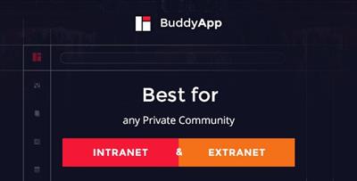 ThemeForest - BuddyApp v1.6 - Mobile First Community WordPress theme