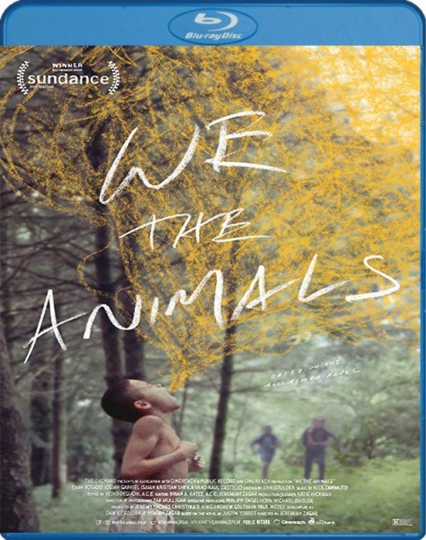 We The Animals 2018 BluRay 1080p DTS x264-CHD