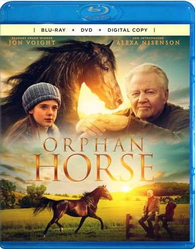 Orphan Horse 2018 BRRip XviD AC3-XVID