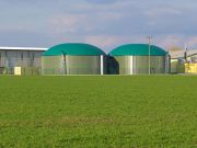 В Одесской области запустили биогазовую станцию вполне на растительном сырье / Новинки / Finance.ua