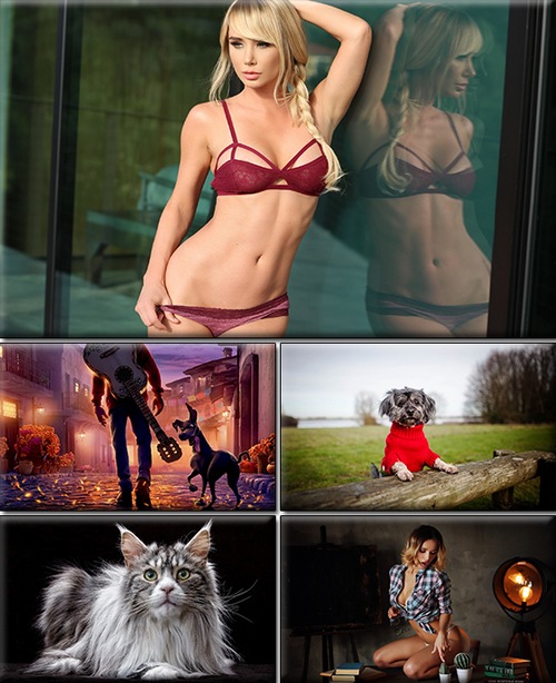 LIFEstyle News MiXture Images. Wallpapers Part (1433)