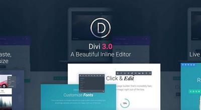 ElegantThemes - Divi v3.19 - The Ultimate WordPress Theme & Visual Page Builder