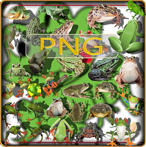 Новые клипарты Png - Лягушки и жабы