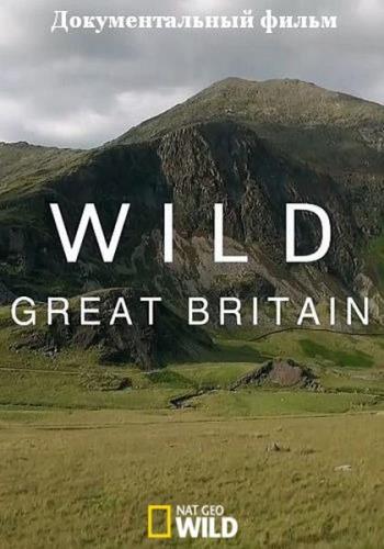    / Wild Great Britain (2018) HDTV 1080i