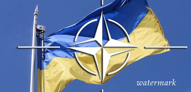 45,5% українців підтримують вступ до НАТО - опитування