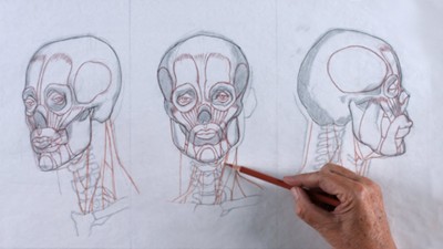 Reilly Method Head Drawing Unit 1 - Anatomy with Mark Westermoe