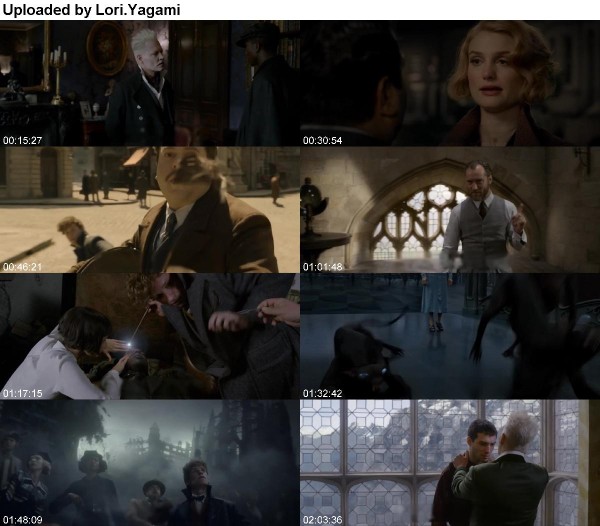 Fantastic Beasts The Crimes of Grindelwald 2018 BLURRED HDRip 1080p x264 AC3-CRYS