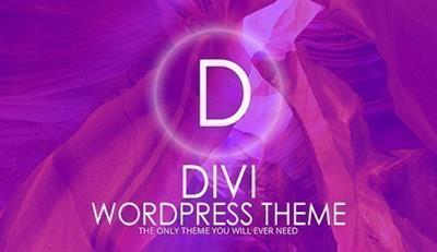 Divi v3.19.2 - WordPress Theme - ElegantThemes + Divi Plugins + Divi Layout + Divi PSD Files