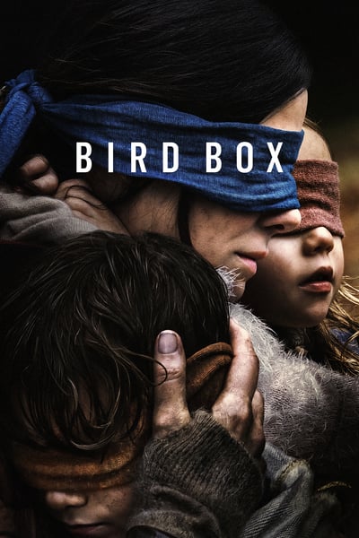 Bird Box 2018 1080p x265 q22 S91 Joy