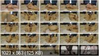 Amateur Scat: (LindzyPoopgirl) - Prolapsing my Poop until it squirts out [HD 720p] - Solo, Masturbation